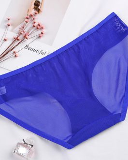 snowshine YL5 Women Sexy Perspective Lace Splice Briefs Panties Lingerie Mesh Underwear free shipping